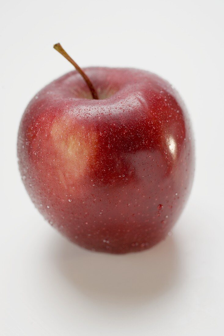 Roter Apfel, Sorte Stark, mit Wassertropfen