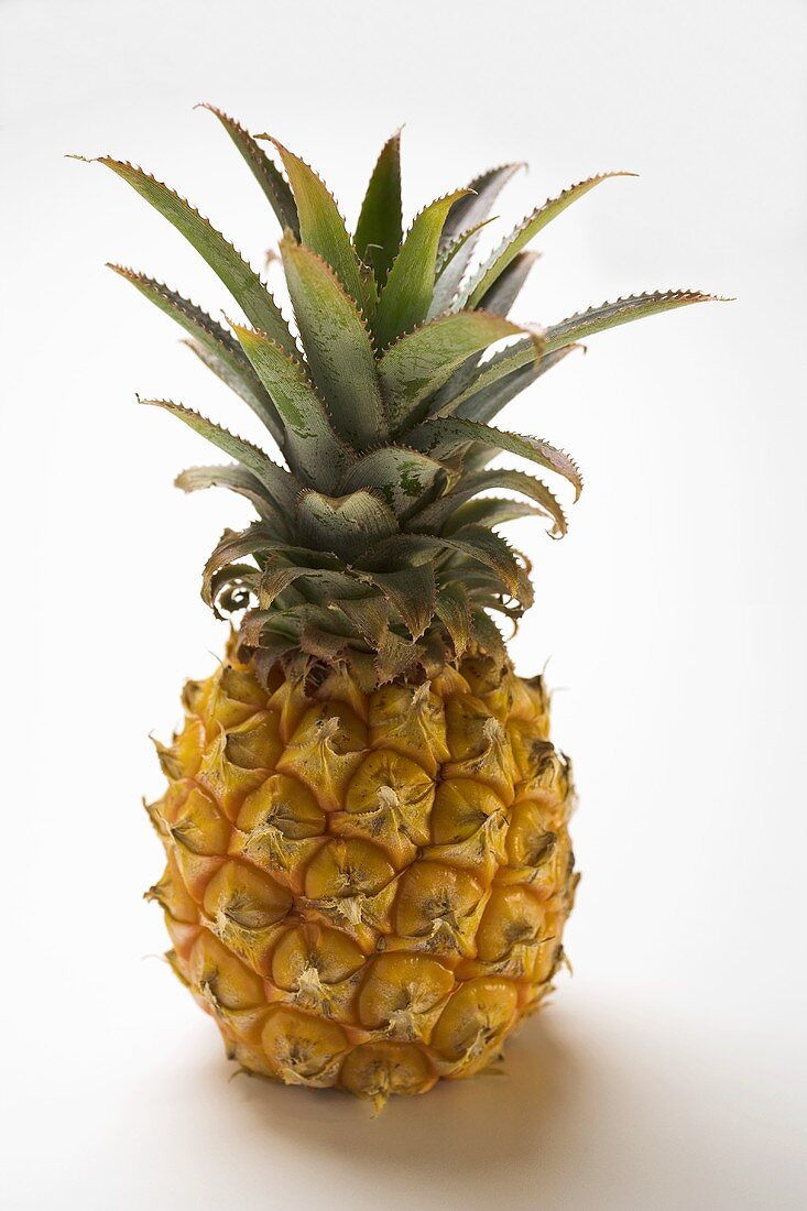 Pineapple