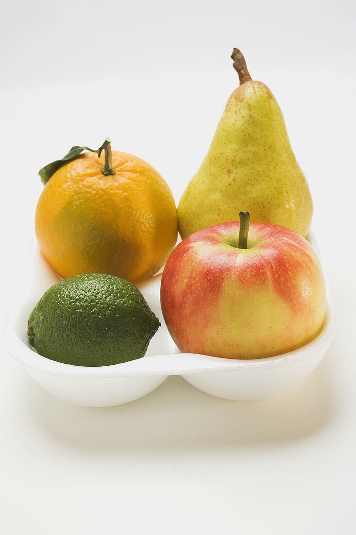 Orange, Birne, Limette und Apfel im Styroporbehälter