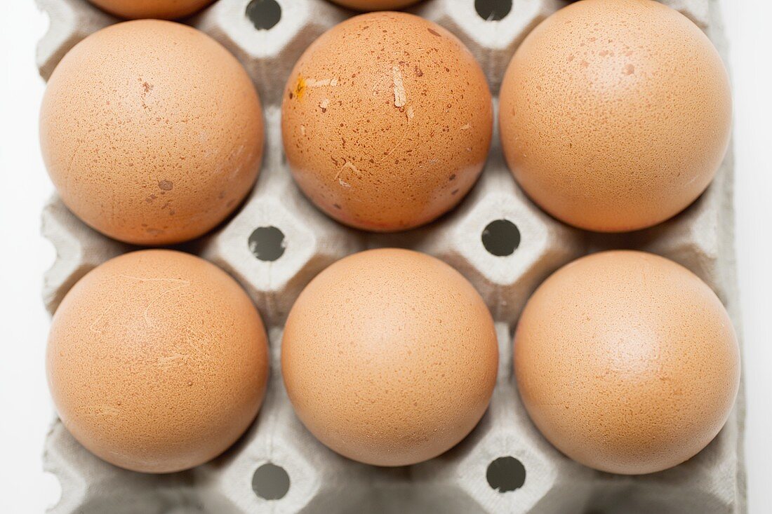Braune Eier im Eierkarton (Draufsicht)