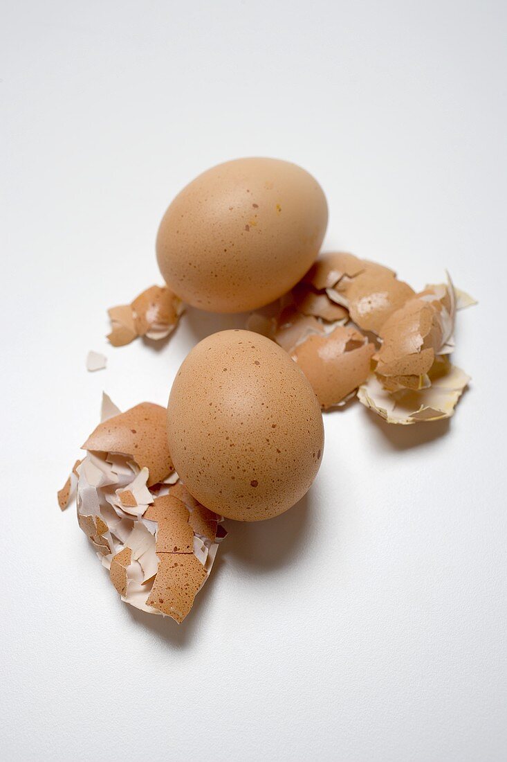 Two brown eggs on broken eggshells