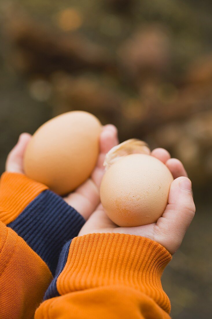 Child's hands holding two brown eggs