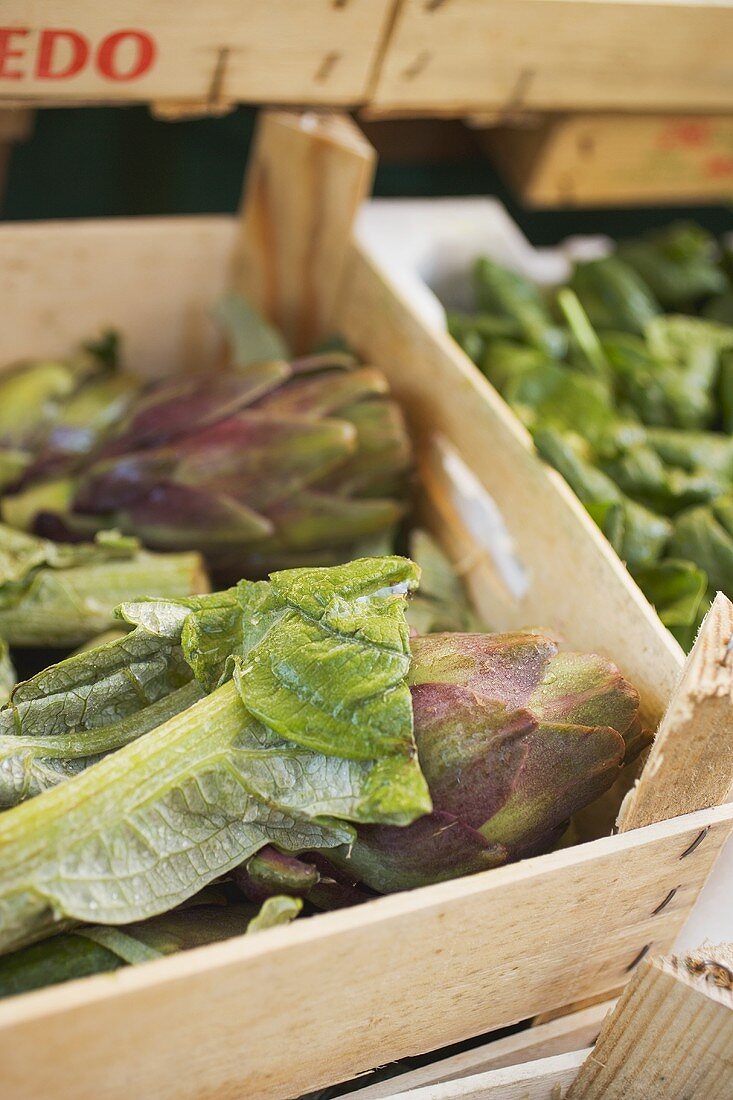 Fresh artichokes in a crate at a market