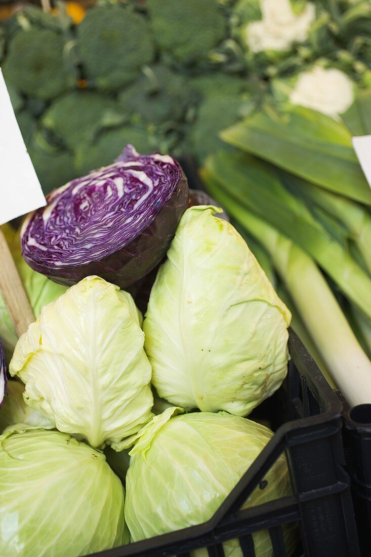 Spitzkohl und halber Rotkohl in Steige