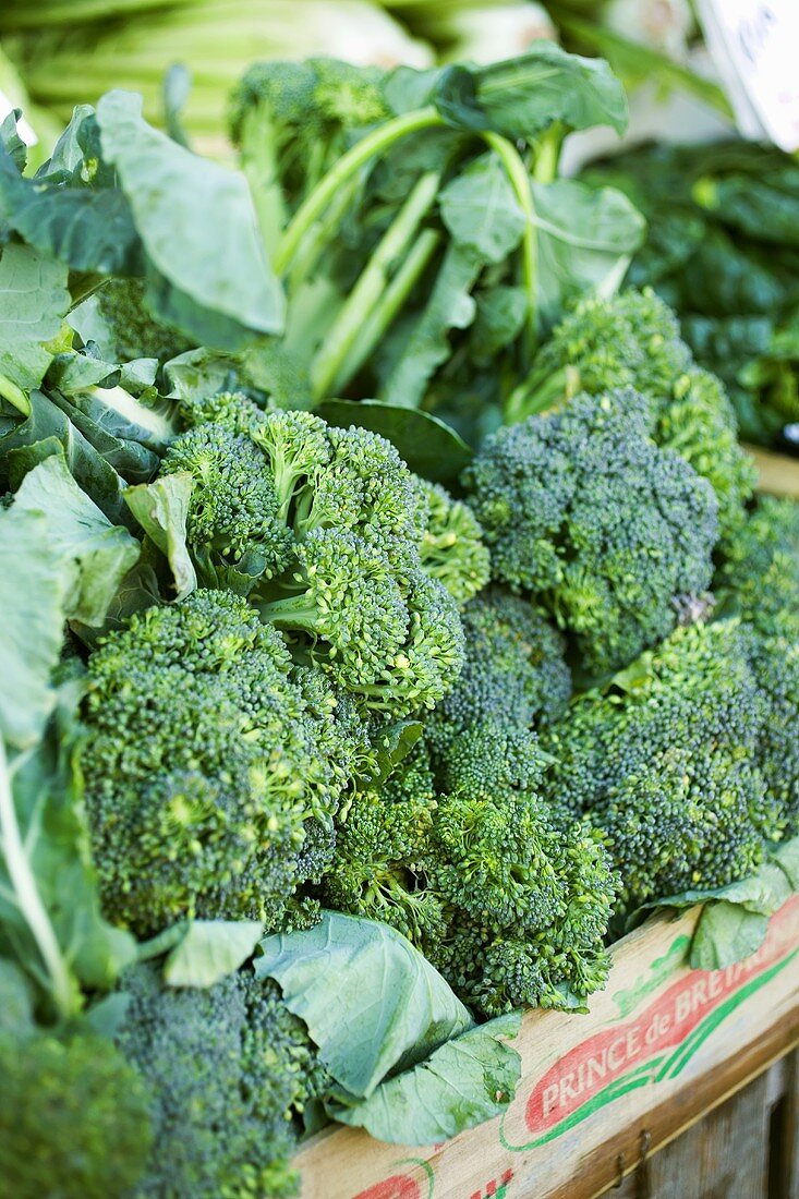 Fresh broccoli in crate