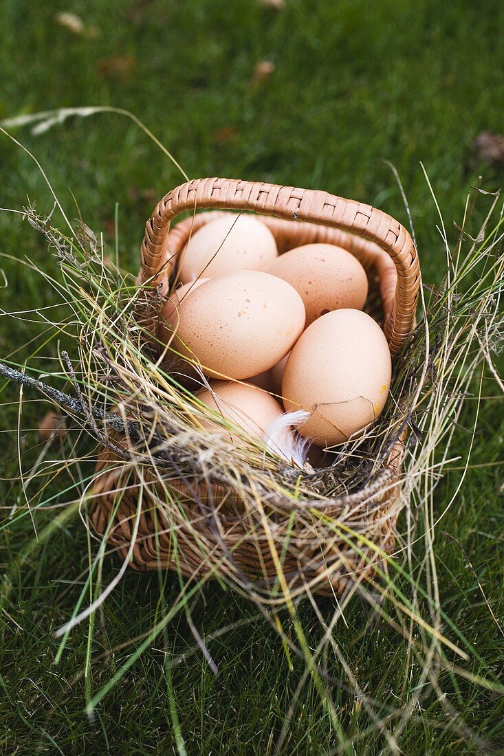 Brown eggs in a basket with hay on grass