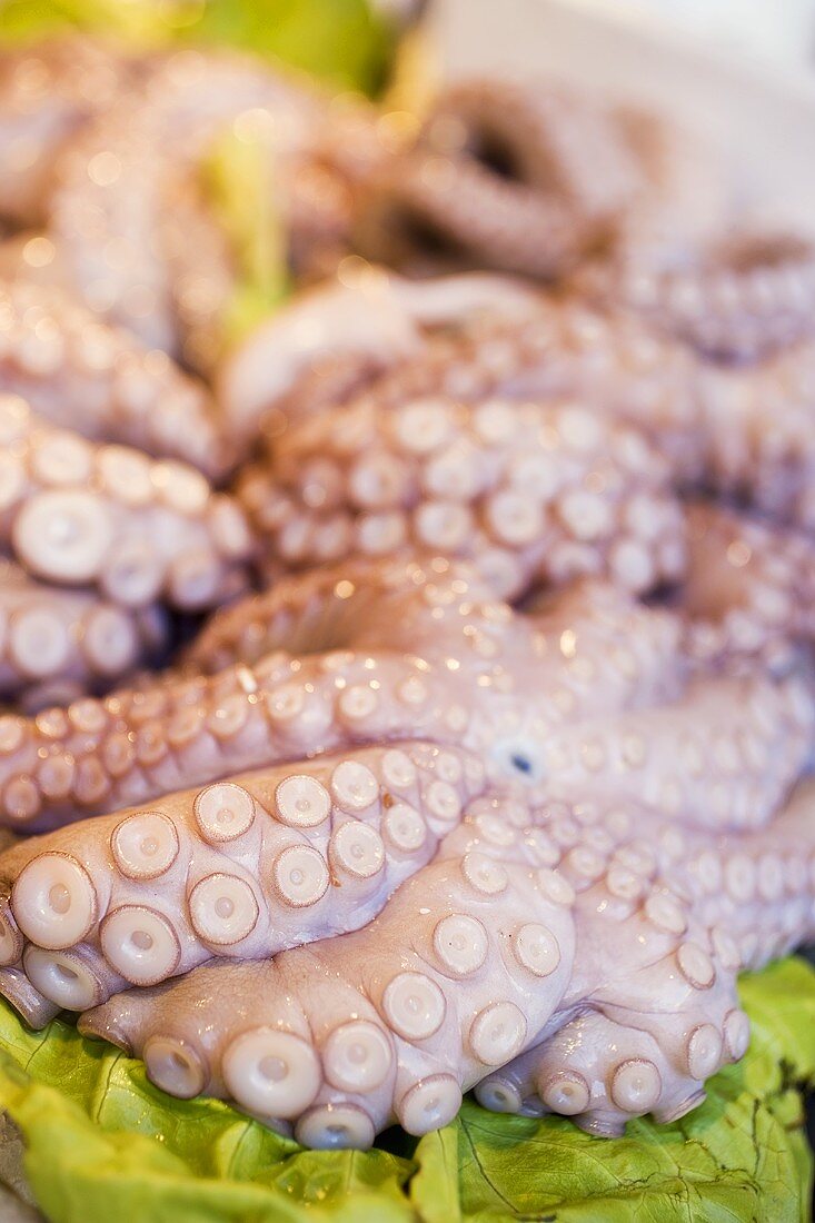 Fresh octopuses at a market