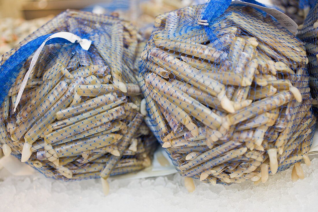 Schwertmuscheln in Netzen am Markt