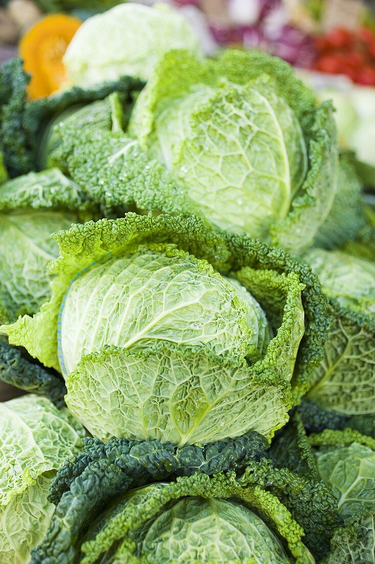 Fresh savoy cabbage at a market