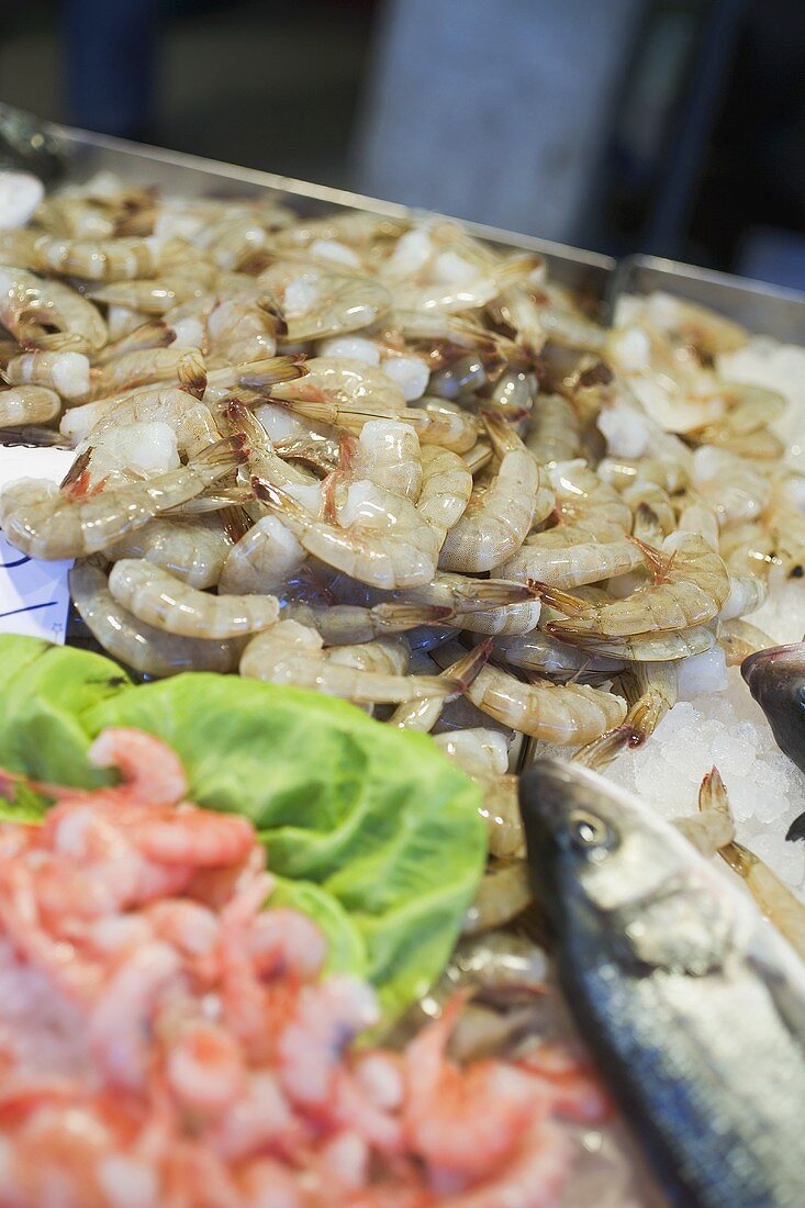 Shrimps and fish at a market
