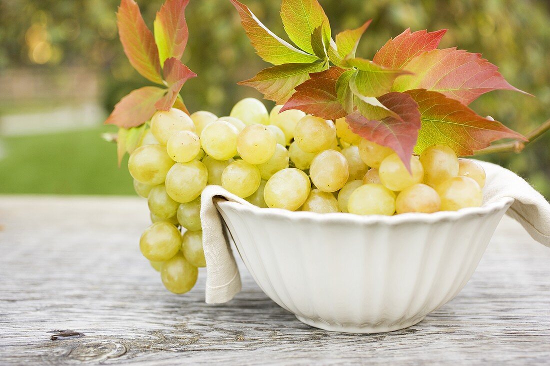 Green grapes and autumn leaves in white bowl