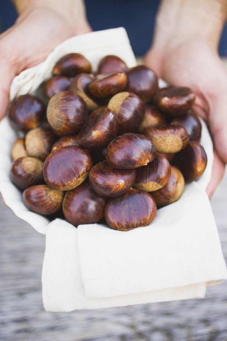 Hands holding chestnuts on cloth in white bowl