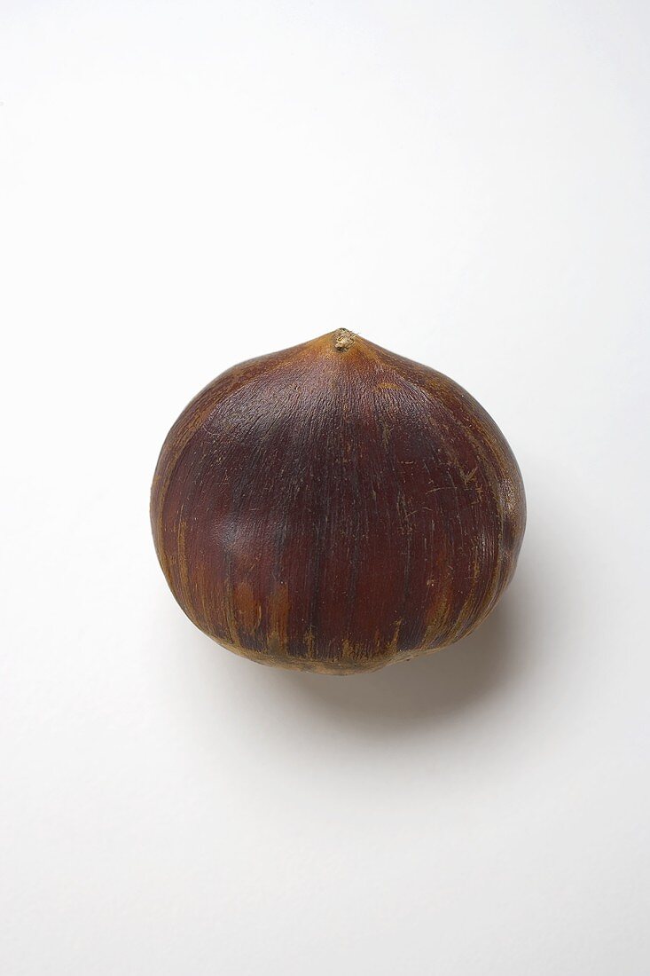 A chestnut