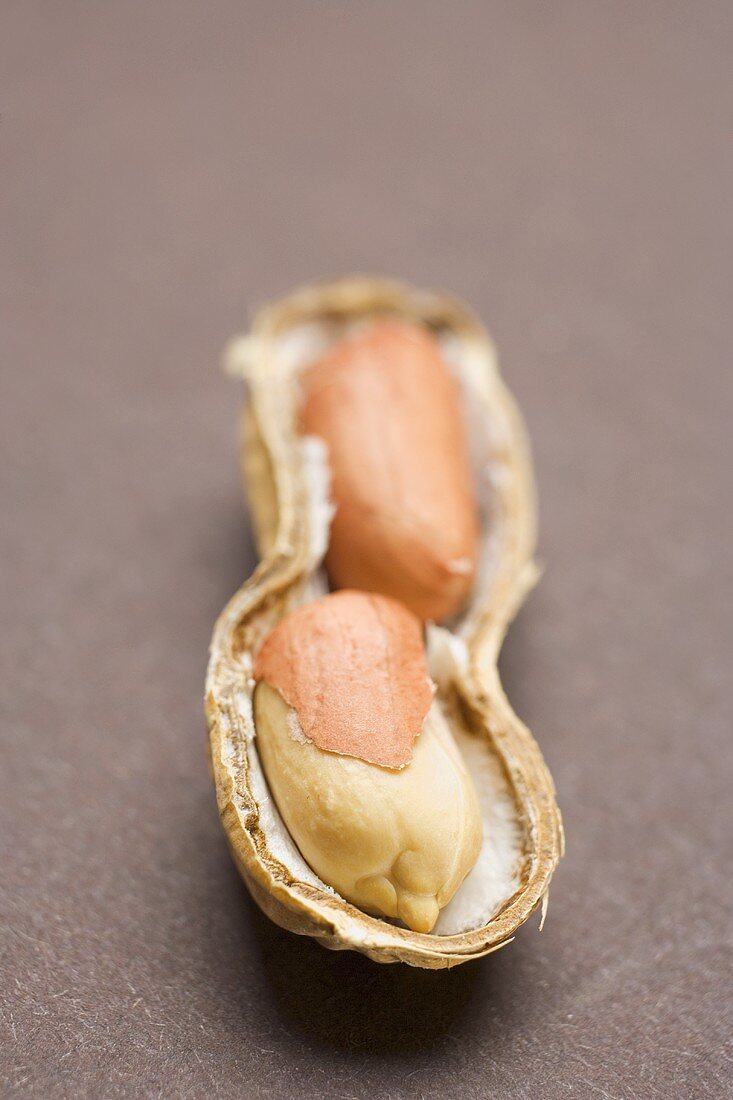 Peanut, opened