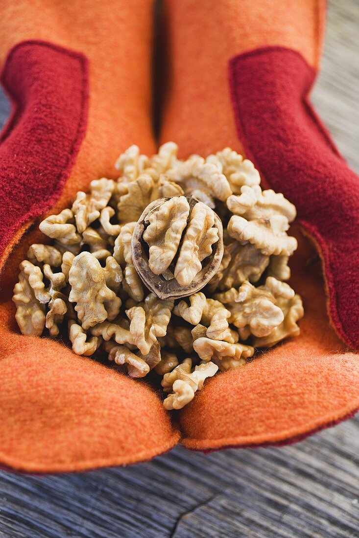 Hands in mittens holding walnuts