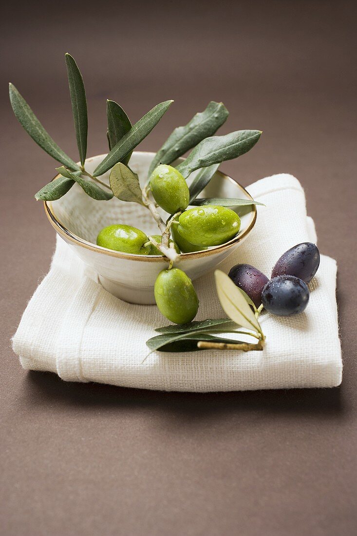 Grüne Oliven am Zweig in Schale, schwarze Oliven auf Tuch