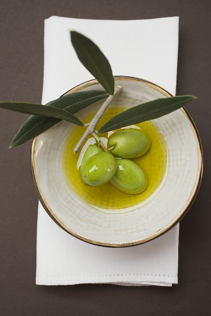 Grüne Oliven am Zweig in Schale Olivenöl (Draufsicht)
