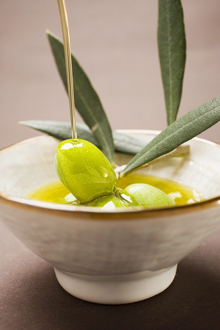 Grüne Oliven am Zweig mit Olivenöl begiessen