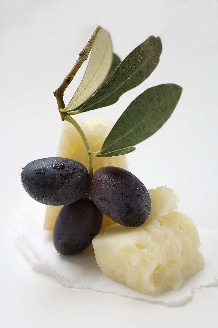 Schwarze Oliven am Zweig und Parmesan