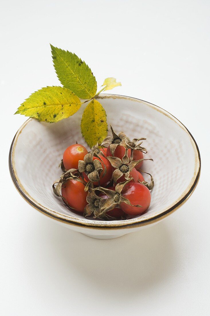 Rose hips in bowl