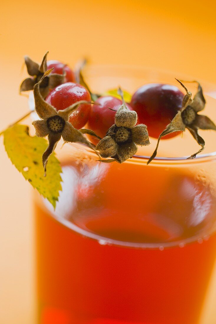 Rose hip tea in glass cup, sprig of fresh rose hips