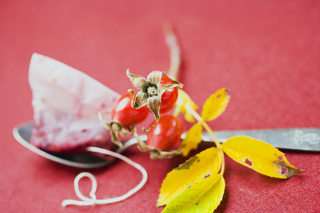 Fresh rose hips, tea bag on spoon