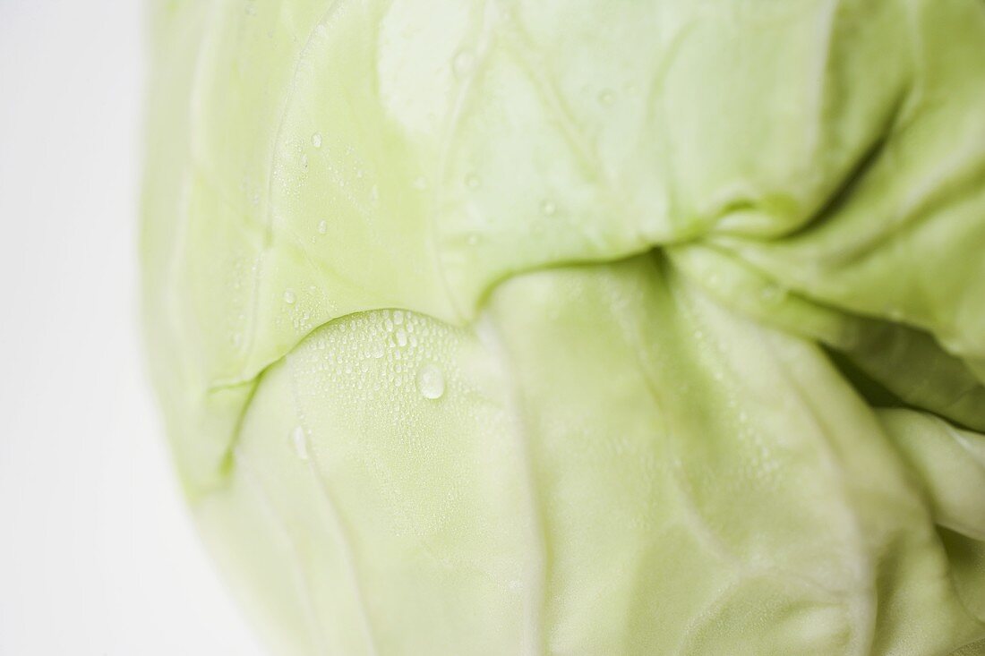 White cabbage with drops of water (detail)