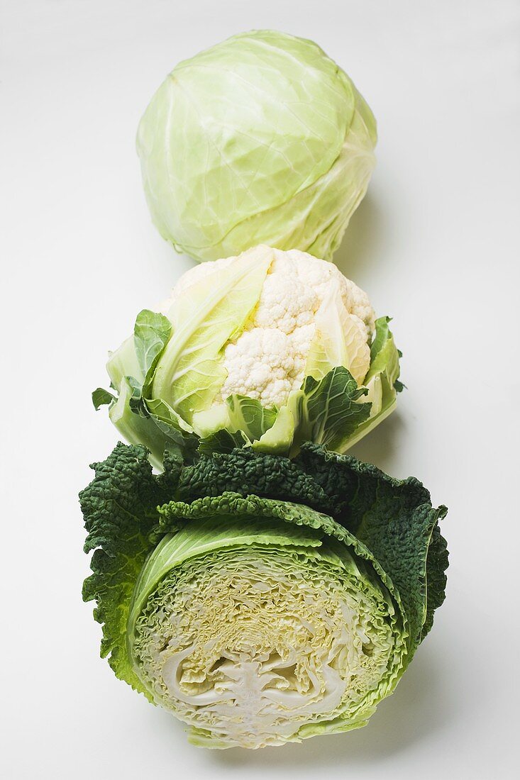 White cabbage, cauliflower and savoy cabbage in a row