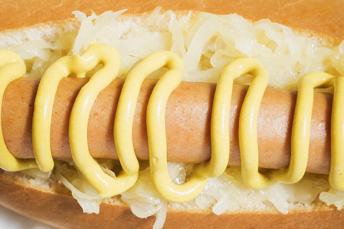 Hot Dog mit Sauerkraut und Senf (Close Up)