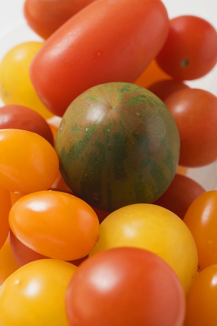 Various types of tomatoes (detail)