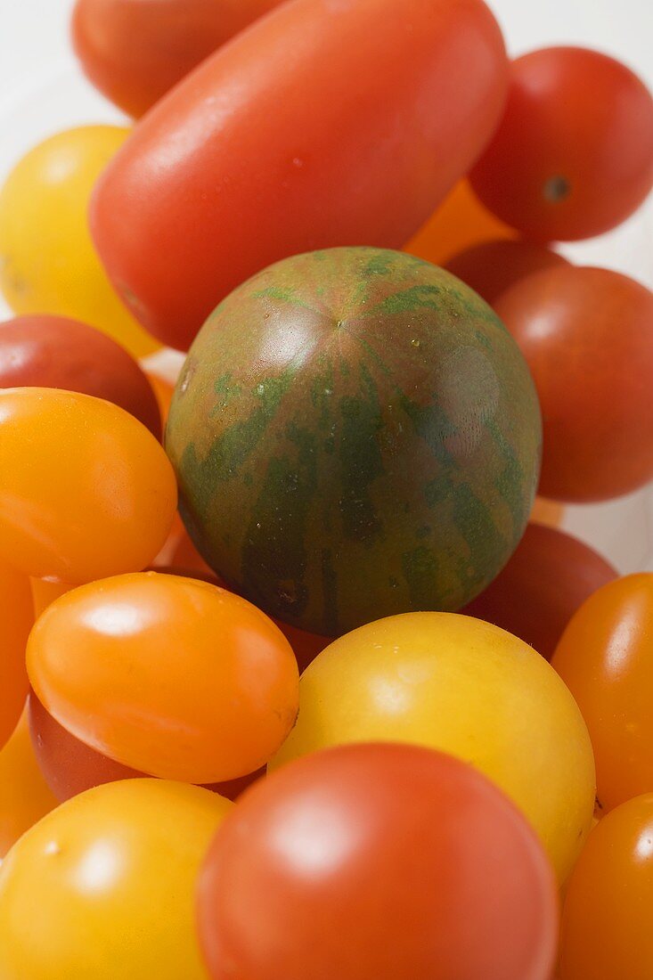 Verschiedene Tomaten (Ausschnitt)