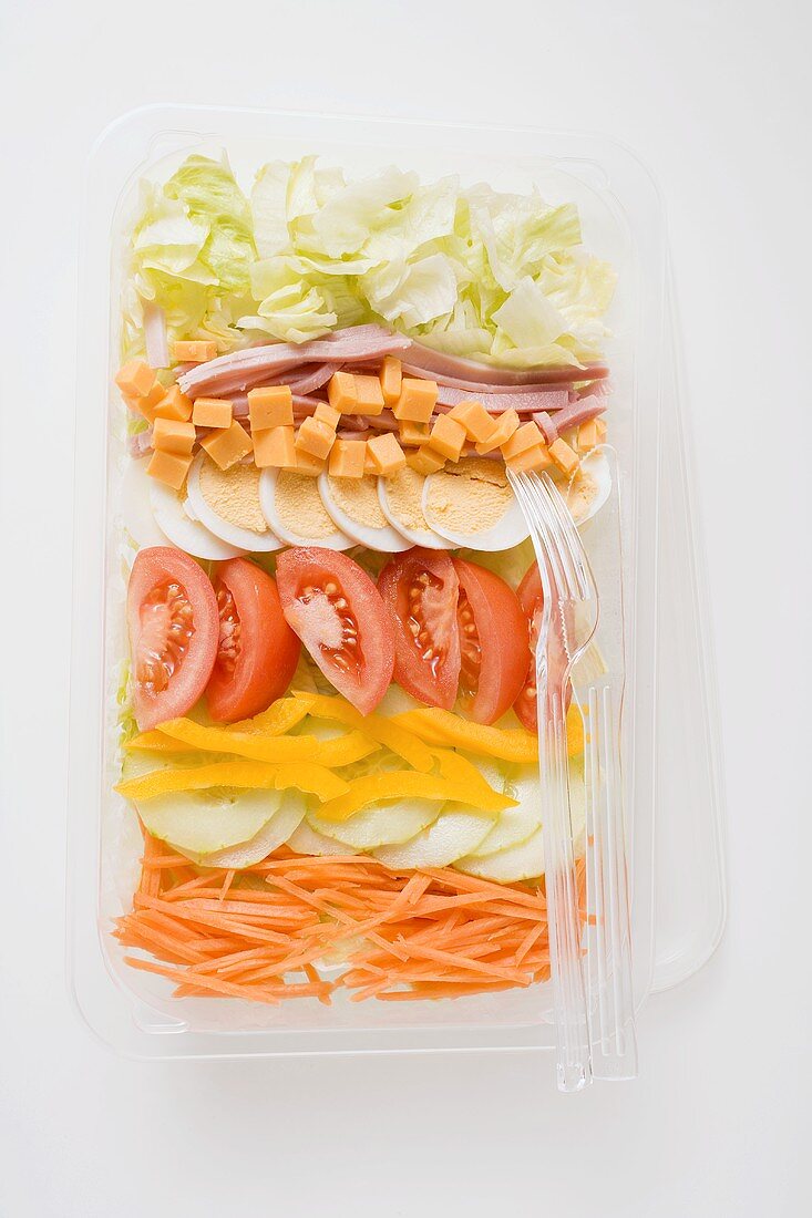Eissalat, Schinken, Käse, Ei und Gemüse in Plastikschale