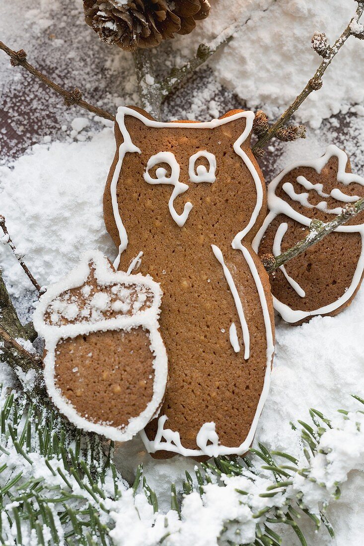 Gingerbread owl and acorns