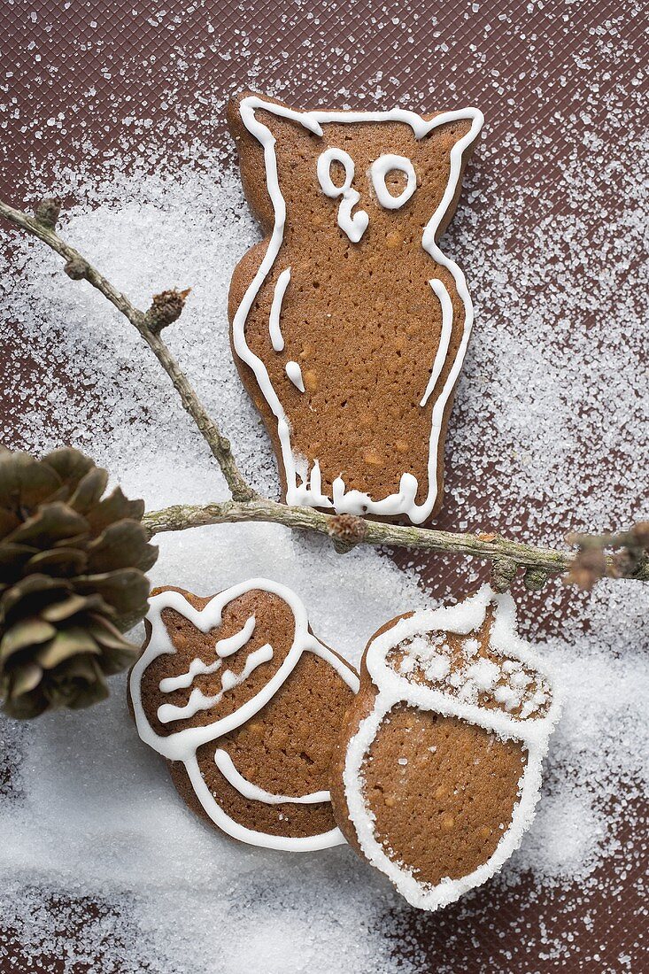 Gingerbread owl on branch,  gingerbread acorns beneath it