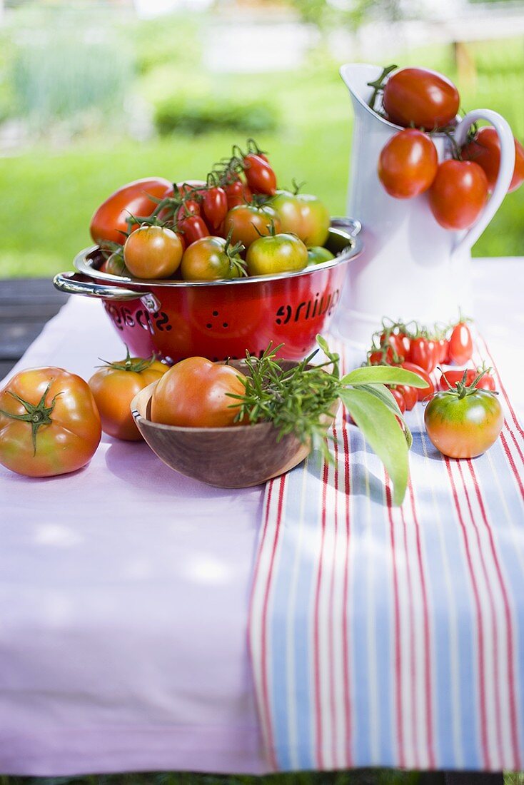 Verschiedene Tomaten auf Tisch im Freien