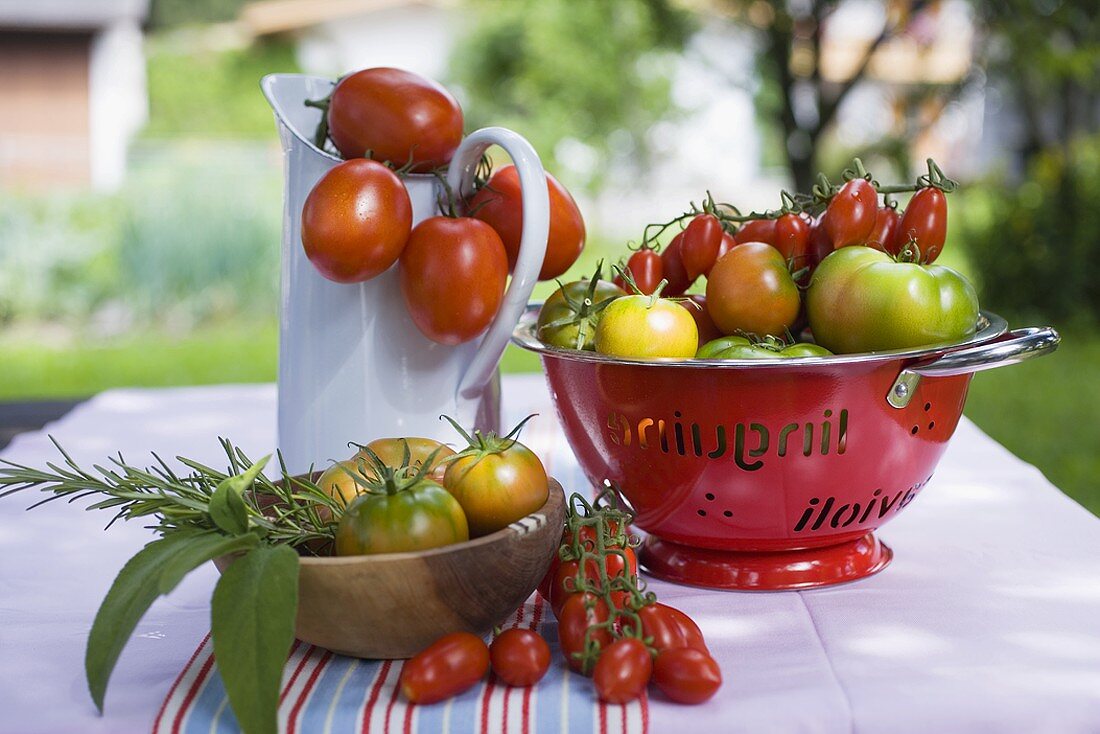 Verschiedene Tomaten auf Tisch im Freien