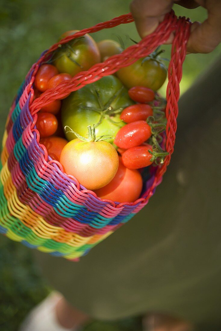 Frau hält Einkaufstasche mit verschiedenen Tomaten