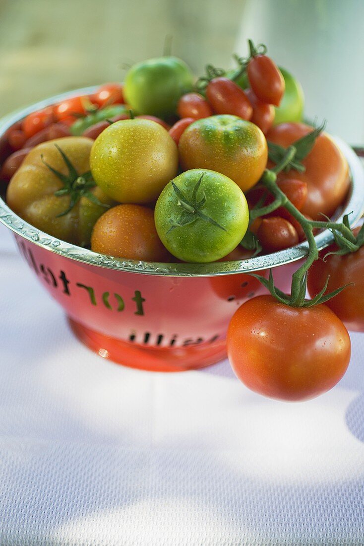 Various types of tomatoes in colander
