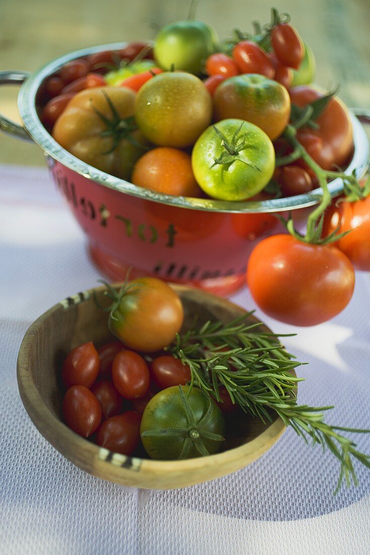 Various types of tomatoes in wooden bowl and colander