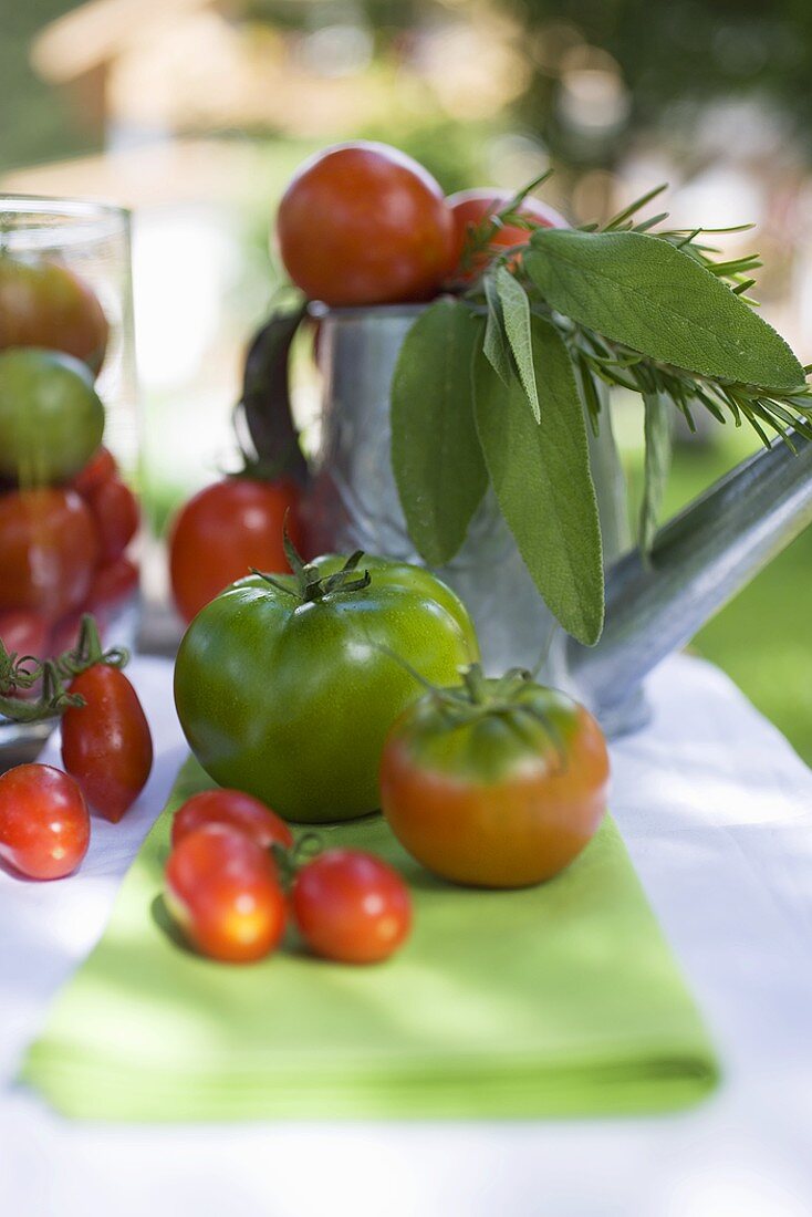 Verschiedene Tomaten auf Tisch im Freien