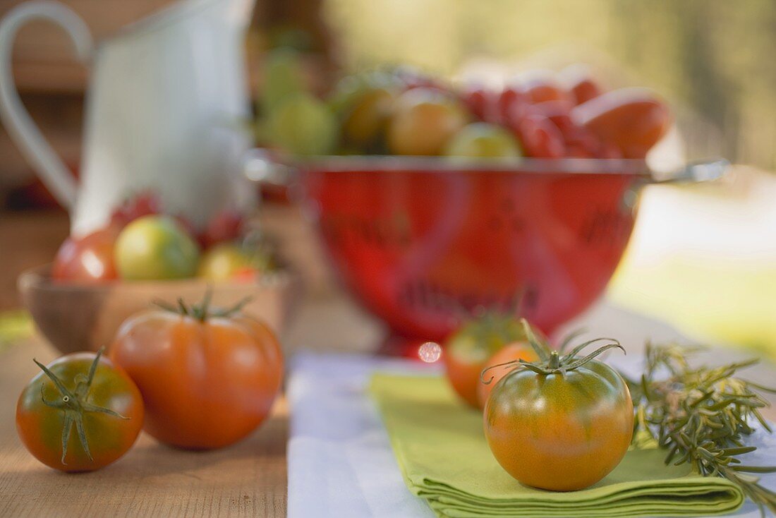 Verschiedene Tomaten auf Tisch im Freien