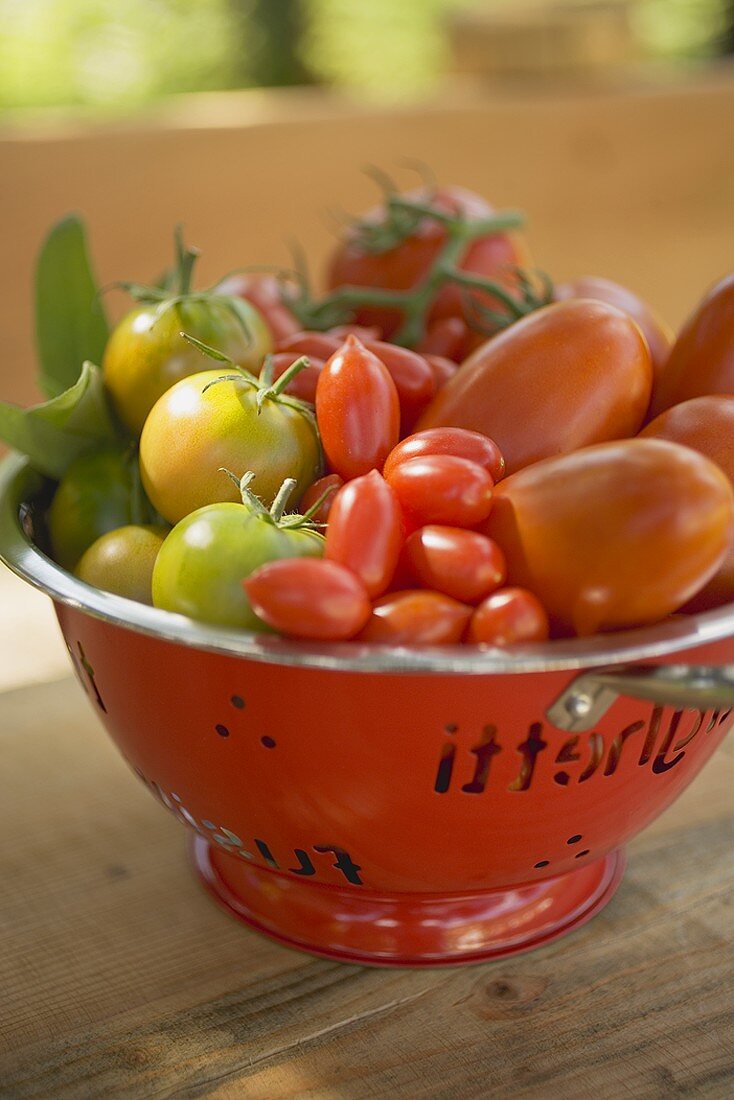 Verschiedene Tomaten im Sieb auf Tisch im Freien