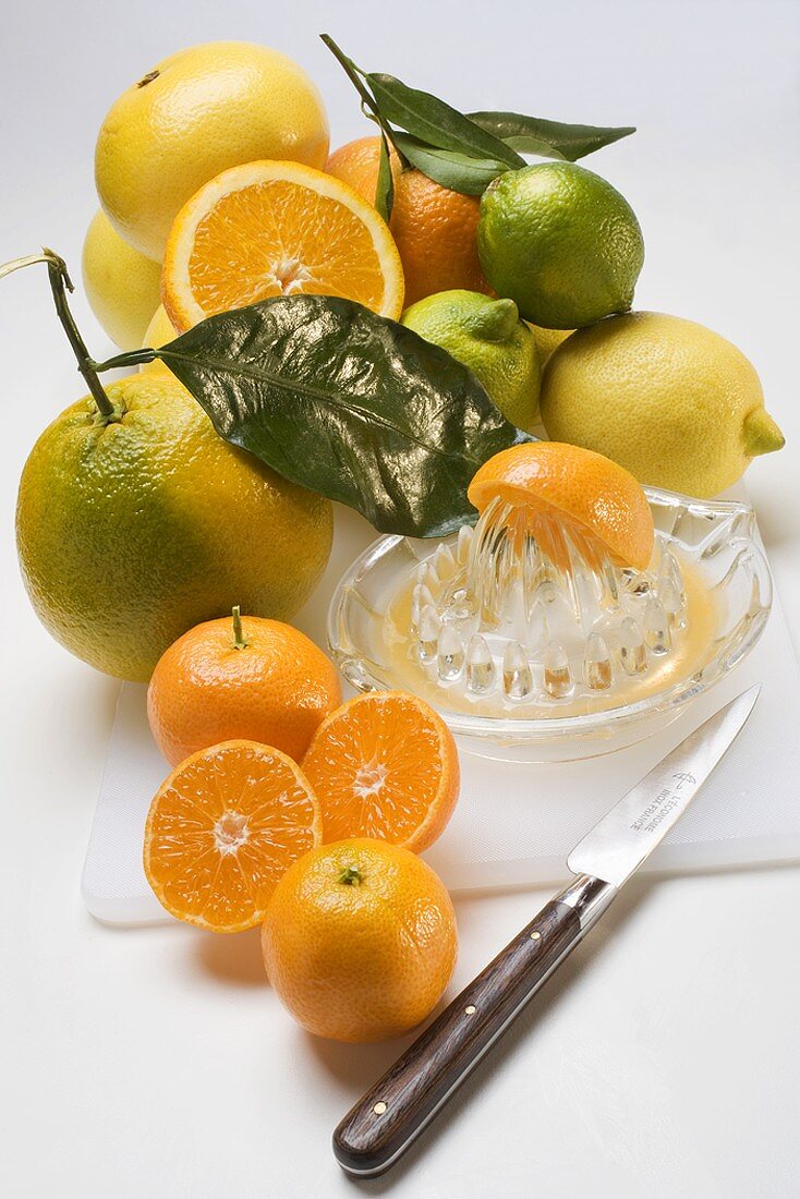 Assorted citrus fruit with citrus squeezer and knife