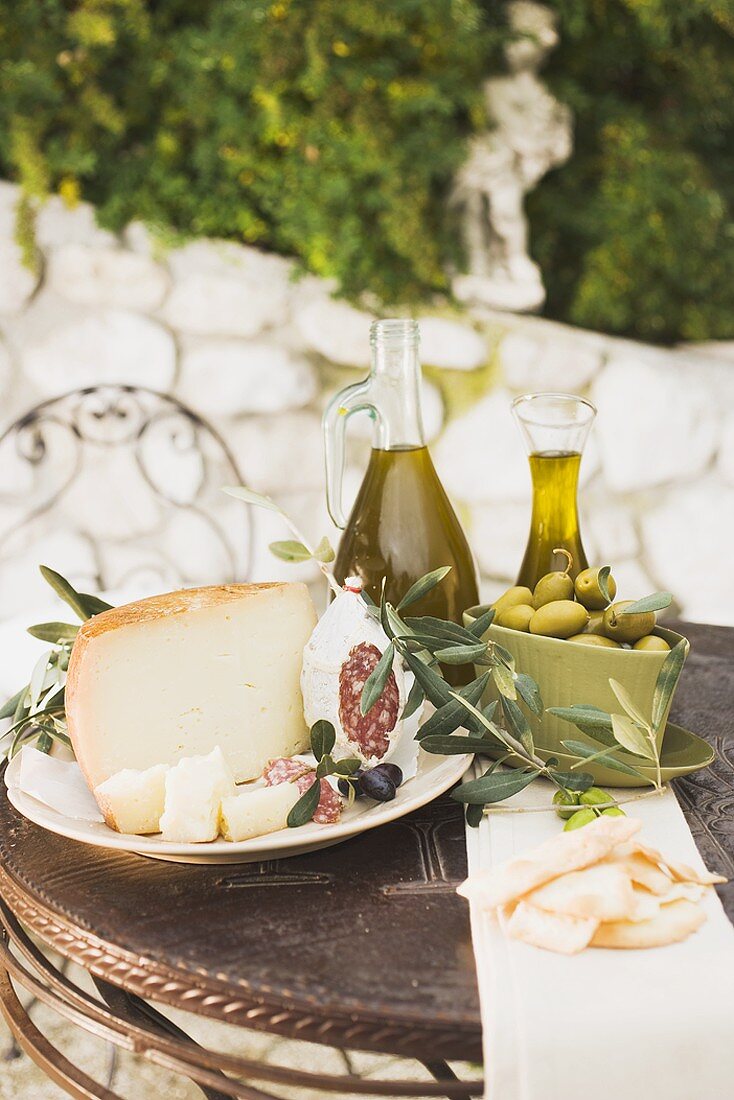 Cheese, salami, olives, olive oil, crackers on outdoor table