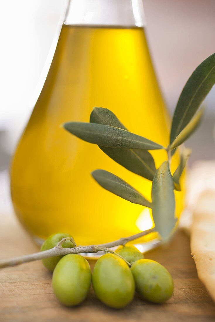 Olivenöl und Zweig mit grünen Oliven