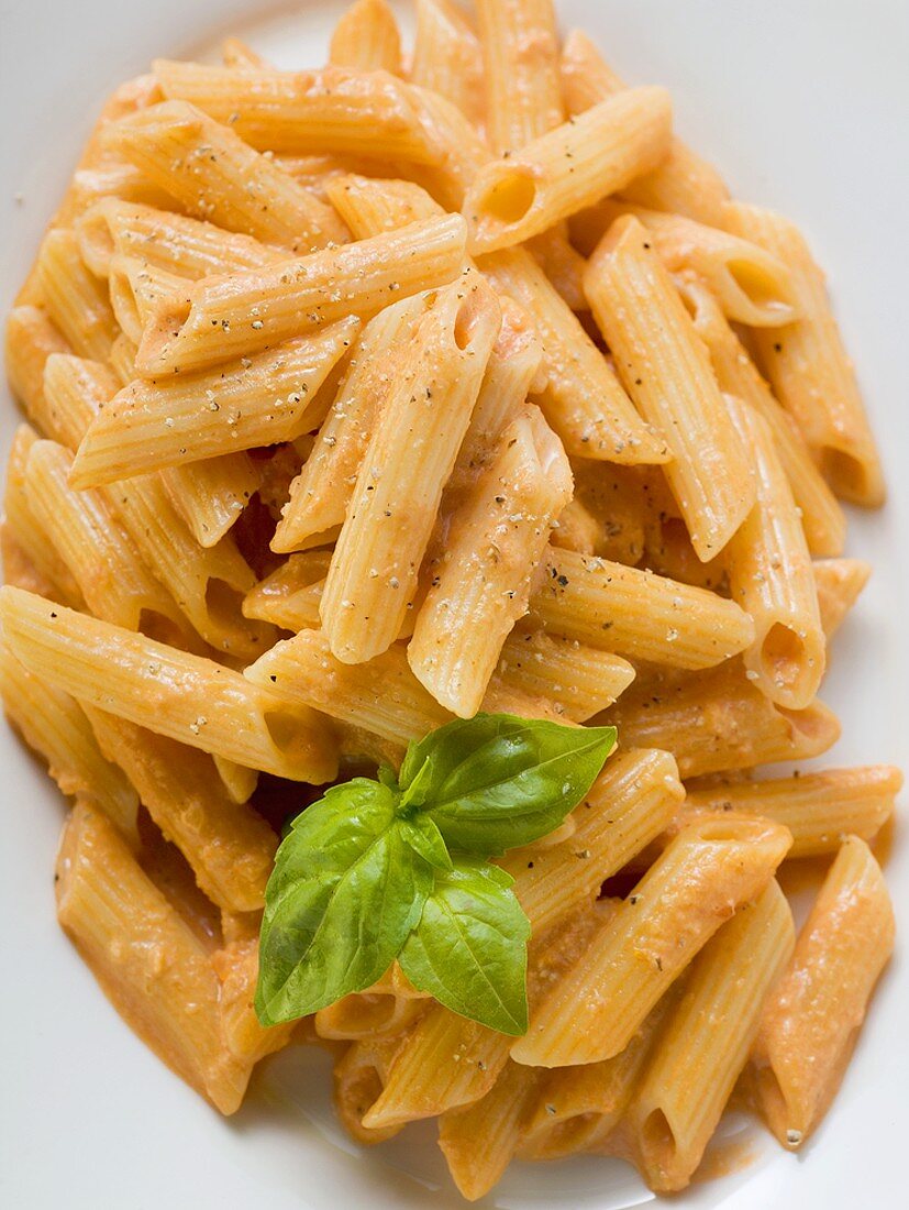 Penne mit Tomatensahne