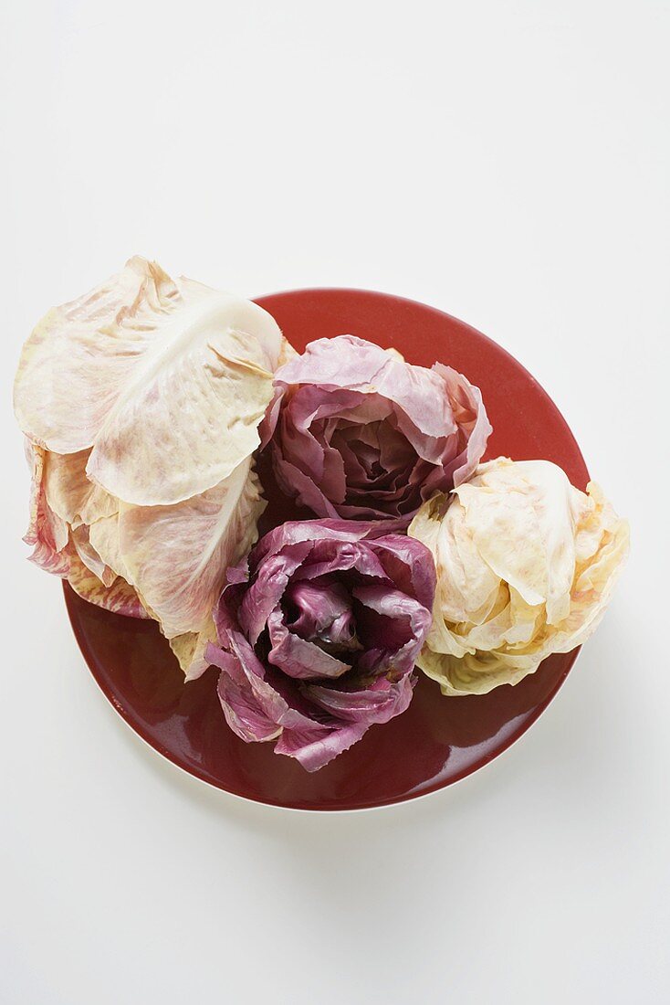 Different types of radicchio on red plate (overhead view)