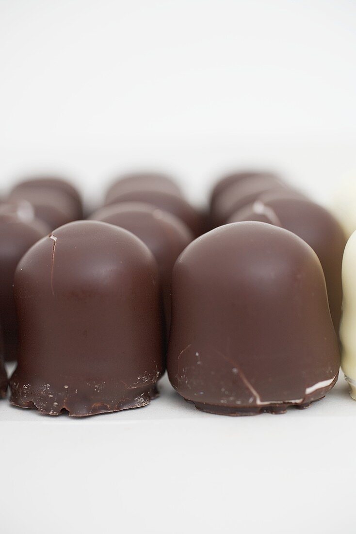 Chocolate-covered marshmallow wafers