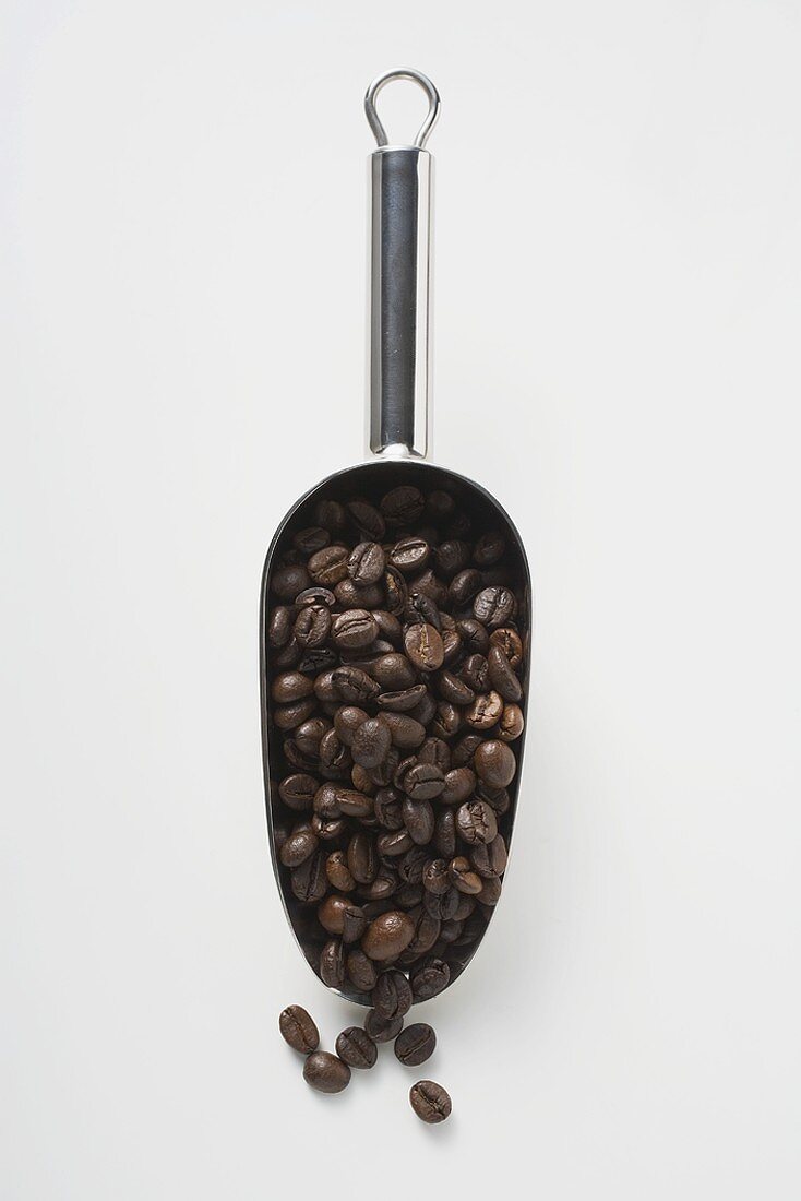 Coffee beans in metal scoop