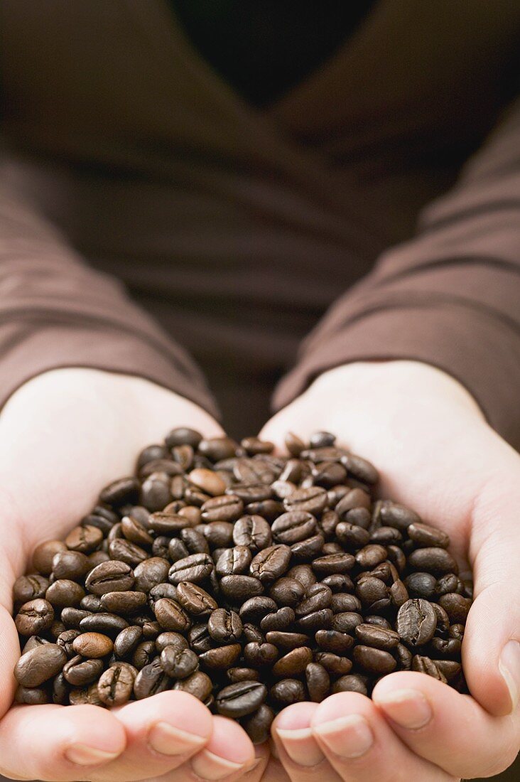 Hands holding a heap of coffee beans